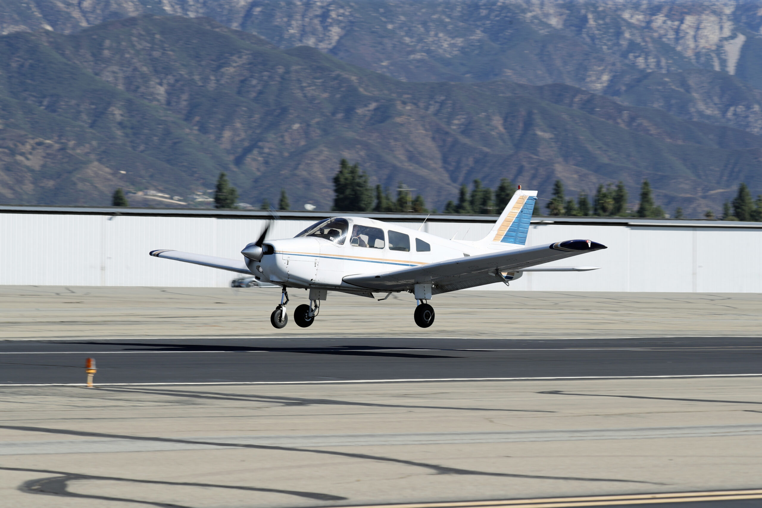 Paws and Propellers: It’s a FREEDOM FLIGHT Day