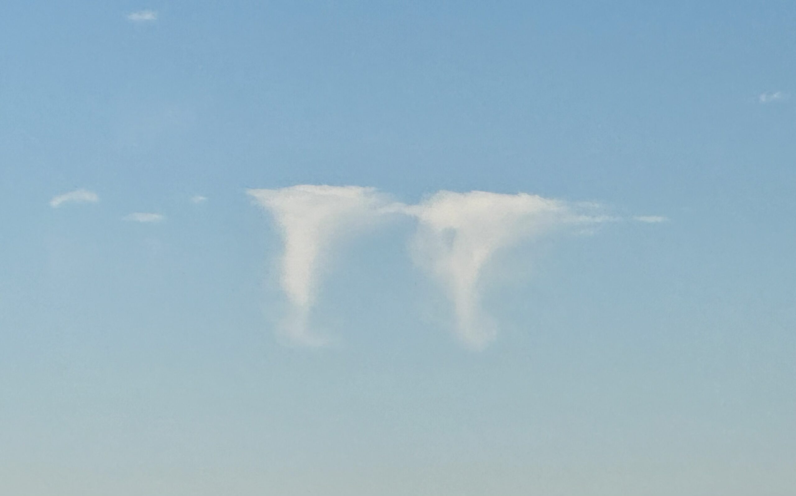 What Are Those? Flight Of The Jellyfish Clouds