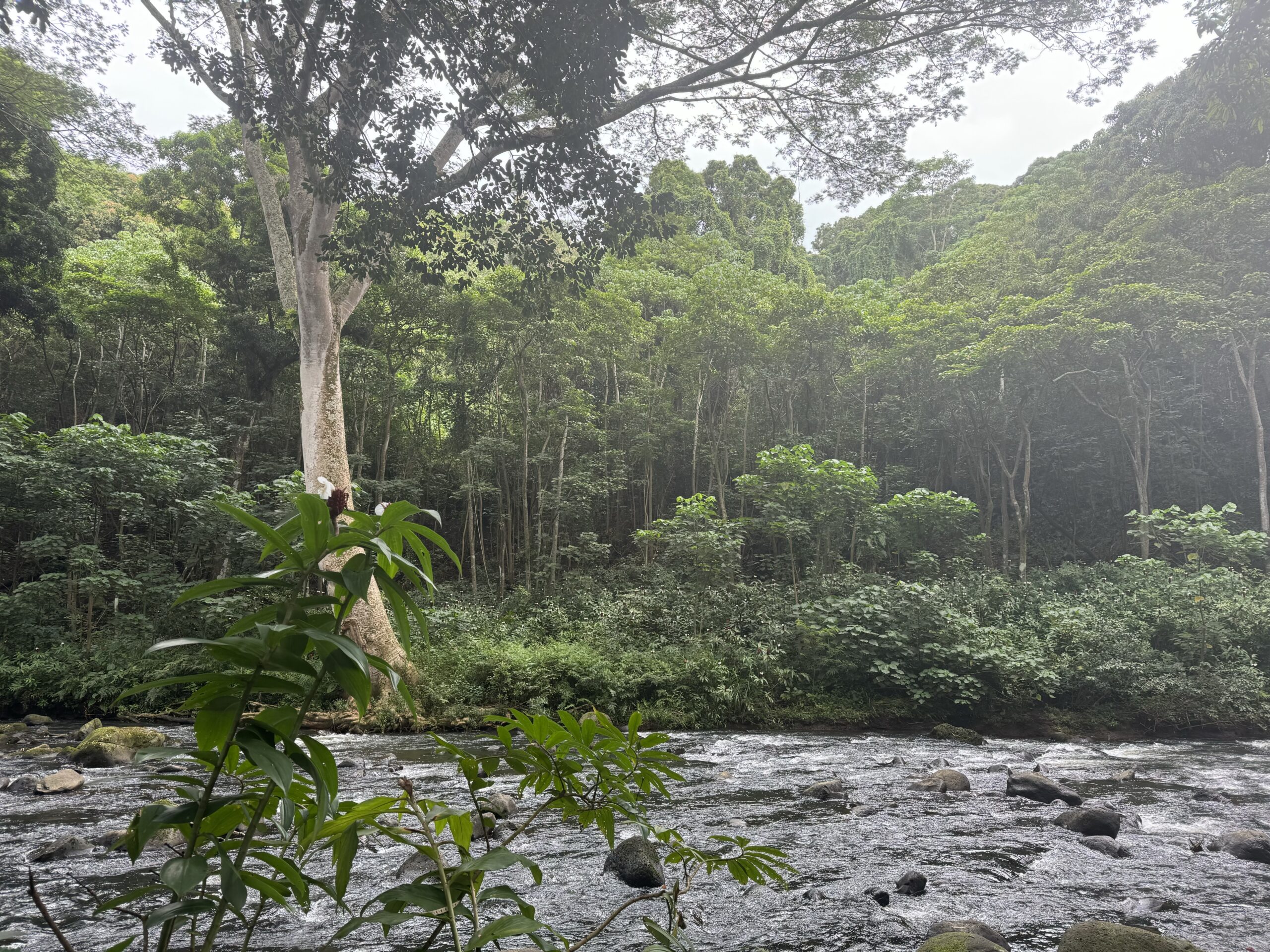 A “Sacred” Adventure: Kayaking to the Wailea River