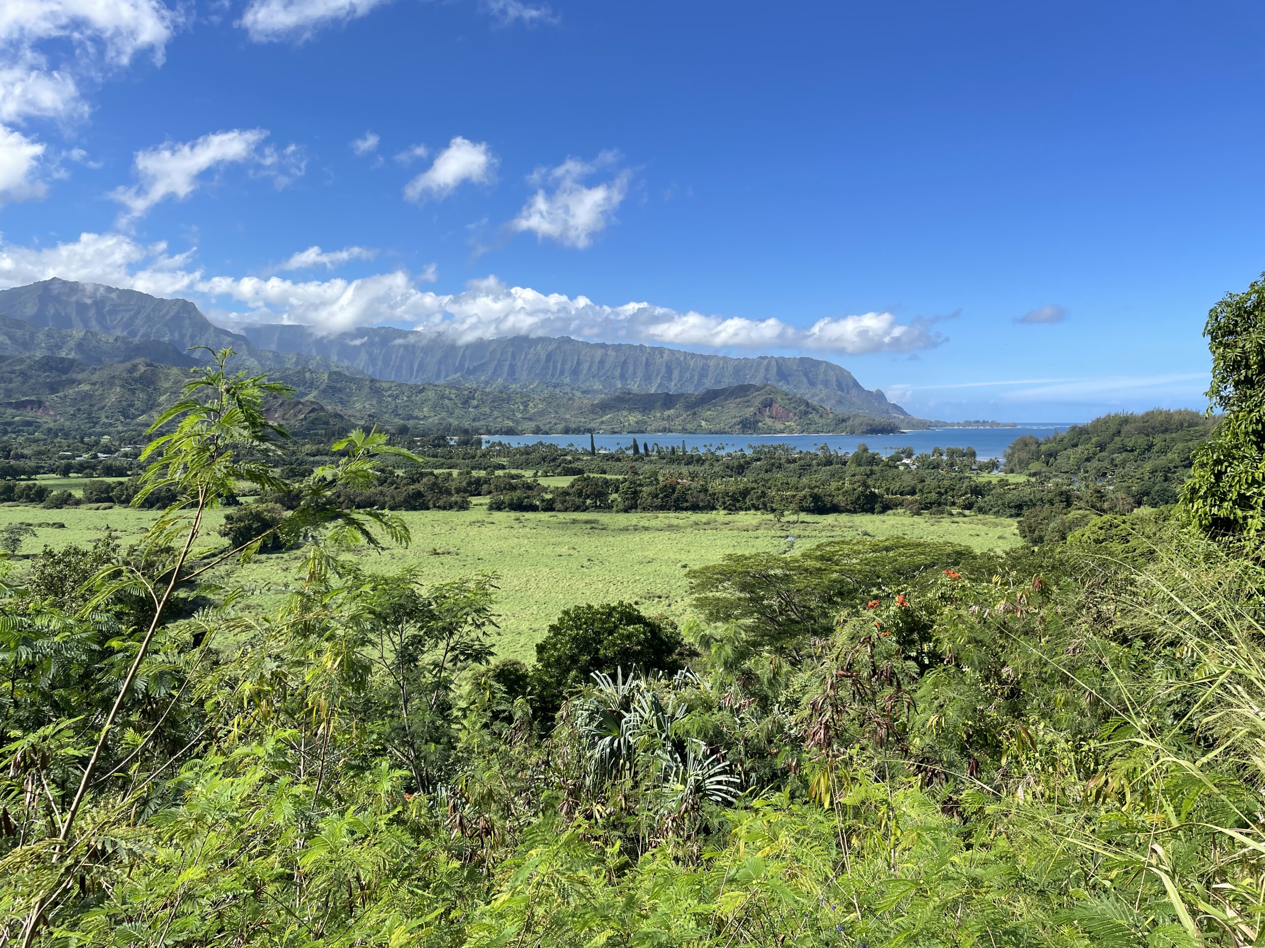 Discovering Kauai’s Hidden Beauty: River Float with Back Country Adventures