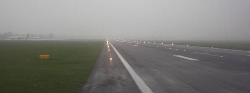 Runways to Highways: A Foggy 2025 Puppy Rescue Adventure
